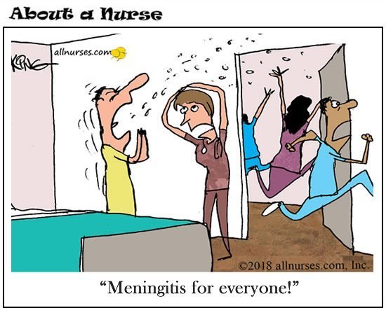 meningitis-for-everyone.thumb.jpg.5978d669c87d126ba31bb1bd9aaf0c2b.jpg