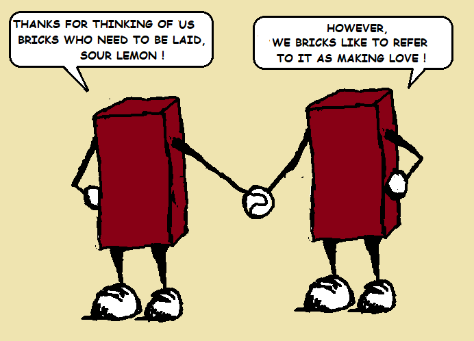 bricks.png.5202c5df68f9aa9c21915e0579af6c48.png