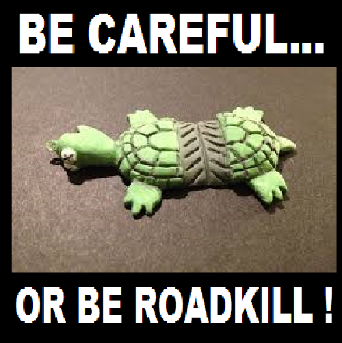 1174057722_turtleroadkill(1).png.272ce98215c537a3913df0137e87db0b.png