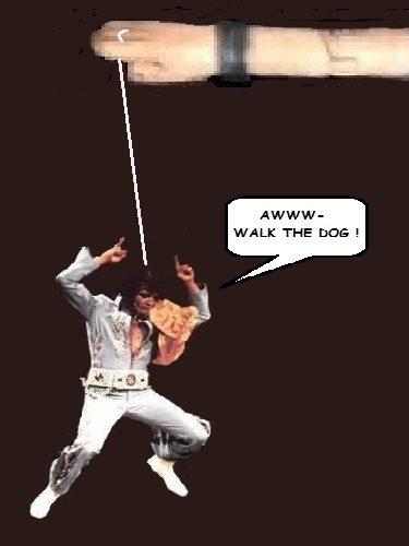 1359467737_elvisyoyo.jpg.f120bec34944fdf6bb221a15429ff055.jpg