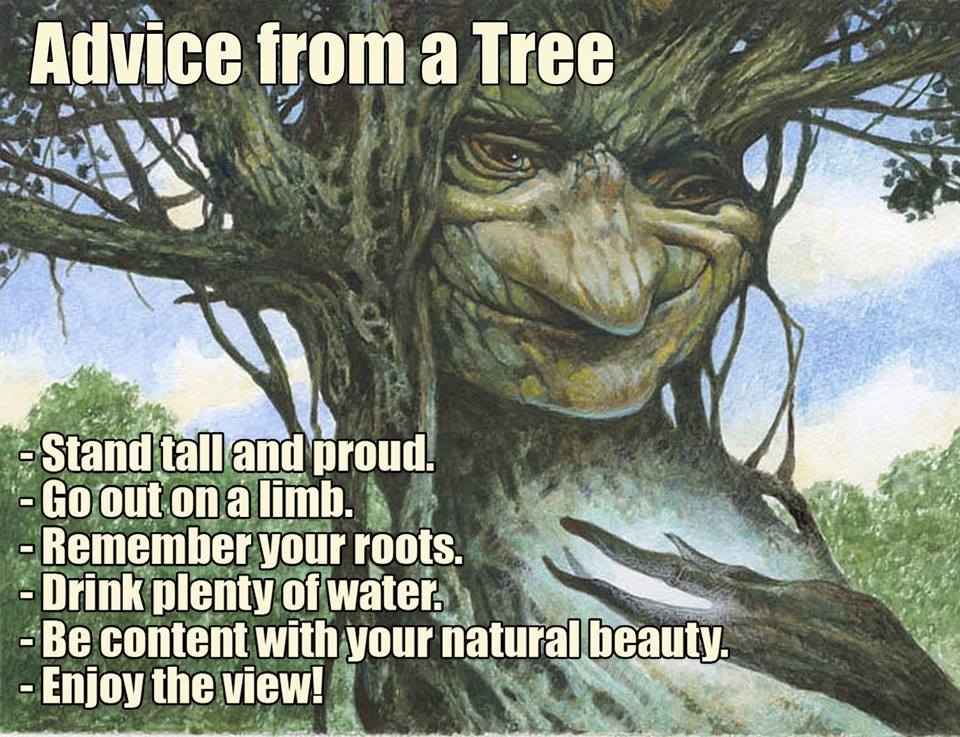 Advice.jpg.efd341ac6f08d9bc782d24c910659b0f.jpg