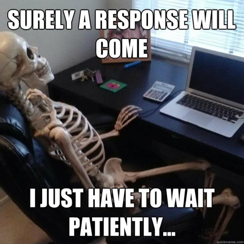 Waiting-for-a-Response-0602830111499600494.jpg.7b6ee19d7b657493f48bd78934b589ce.jpg