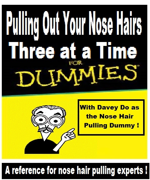 dummiesdd.jpg.228efb868f4595497e952013782b9d14.jpg