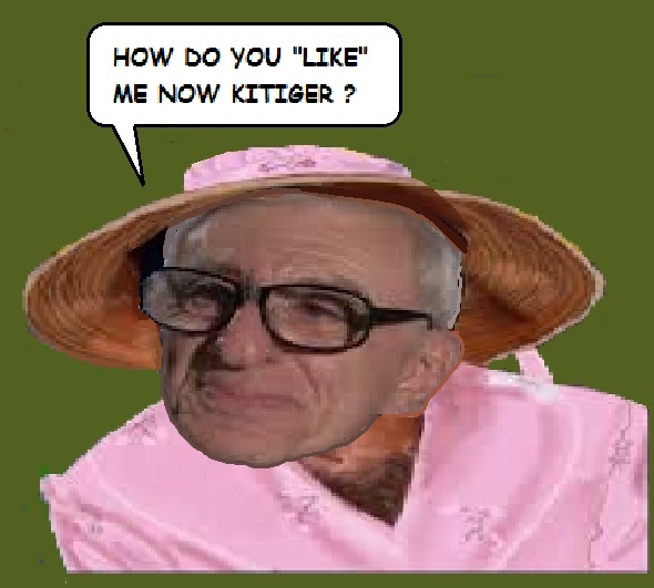 kitiger2.jpg.411652e038b77fcaf42613e035ad691e.jpg