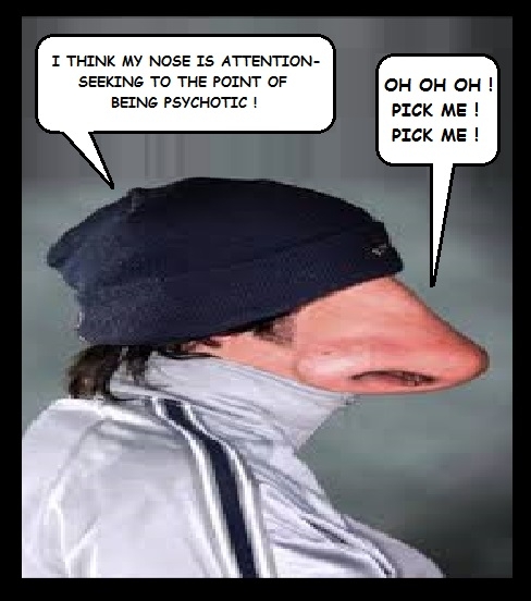 nose.jpg.6035423b6cdd4f54fb737b254d2d7ce0.jpg