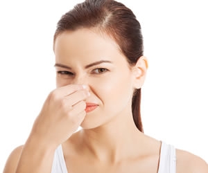 stinky.jpg.242b29175fbd8edfca6ec3d2ccc82cf6.jpg