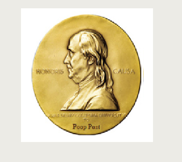 pulitzer-medals.png.381eb9445f1b28f49a658da01d82ebbc.png