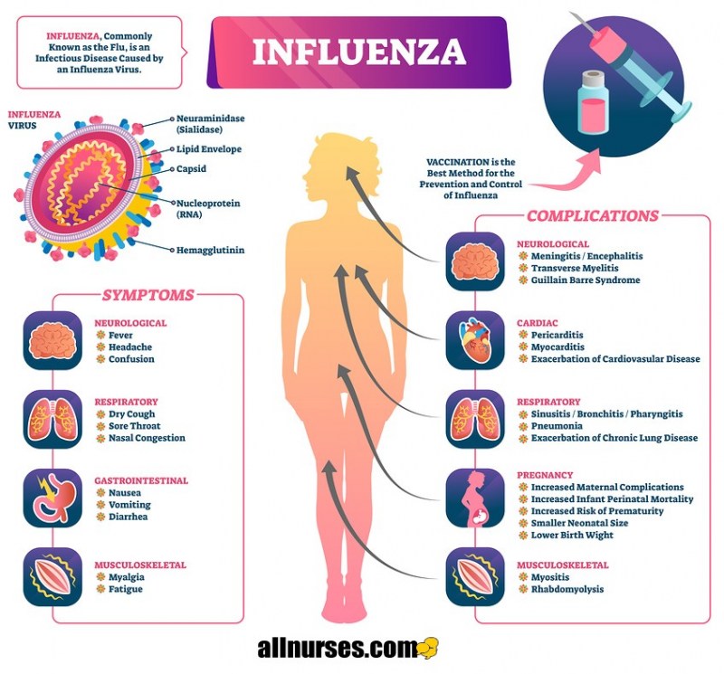 Influenza-infographic.thumb.jpg.e24b2e2d18b0883cbe3529a0a3d881c6.jpg