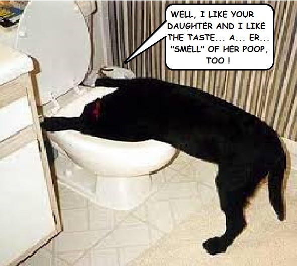 dog-at-a-toilet.jpg.6fbe8dd83092a7dc2b8dbd04b8f52d4b.jpg