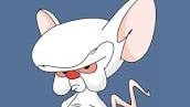 pinky.jpg.4e4f40fa475e980aa9be7d0e13242dfd.jpg