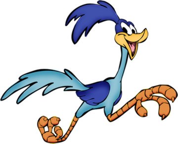 roadrunner.jpg.c073e0657b7d0f5607b421d5c9699c9b.jpg