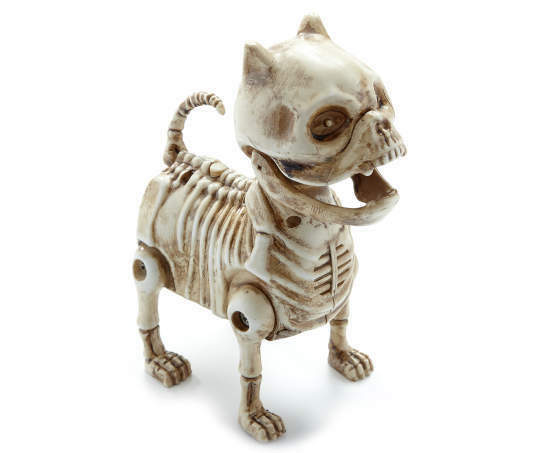 image.png.fc023ac81cad8e15f9cf7e1e91d8bd9f.png