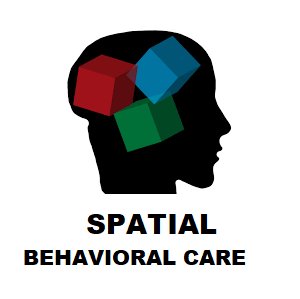 spatial.png.49b07af168b6c0d77700d298a3e498de.png