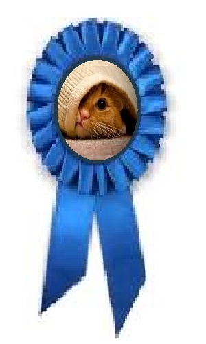1924784486_hiddencat.jpg.6a13aec03b01df3757f3d9b20ad415ff.jpg