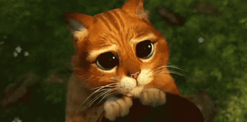tenor.gif.f706b7cc5d31723df30c992fb3fd9329.gif