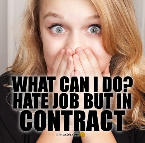 what-can-i-do-hate-job-but-contract.jpg.e1f21b45c6495171f1eb4eae471fbf56.jpg