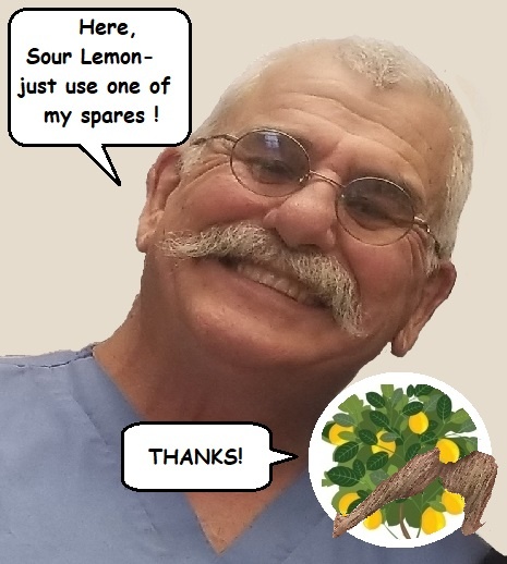 1464588752_ddnsourlemon.jpg.518c5484966073c50125752ea4db2c95.jpg