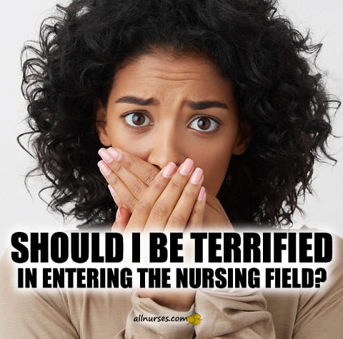 should-i-be-terrified-entering-nursing.jpg.f9ec0fb4934c8ec6cae0422d09cc1008.jpg