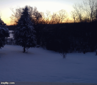 sled2.gif.cb291fb44fc39df9306129b728941023.gif