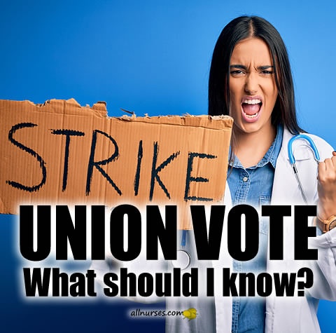 union-vote-what-should-i-know.jpg.9962ec3b23d9c12b01647b1637e01491.jpg