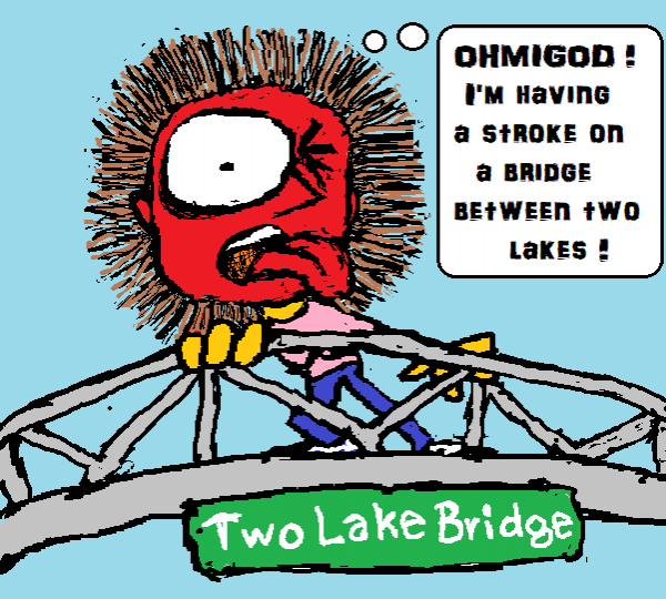 439221292_twolakebridge.thumb.png.b8baf0d5f8457cca490e9e2794ef4cdb.png