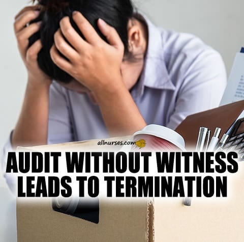 audit-without-witness-leads-to-termination.jpg.dd63cd73c63a316b9b3ec53db846cc2a.jpg