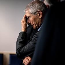 facepalm.jpg.60962d31d6dad75fadd41009a307f728.jpg