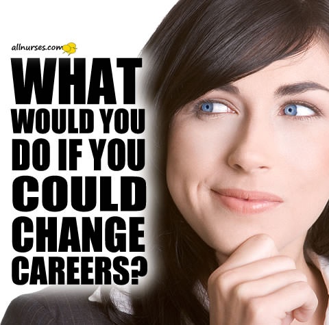 what-would-you-do-if-you-could-change-careers.jpg.9d7f43770ece2d4fd7eb8bfab686ade5.jpg