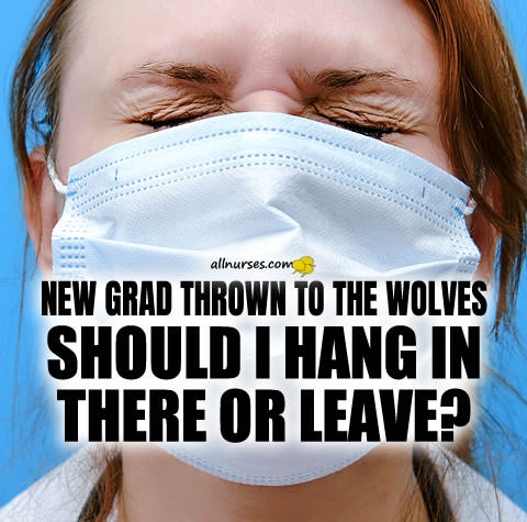 new-grad-nurse-thrown-to-wolves.jpg.8403af0f47d6315e90478ea7ae50a6a7.jpg