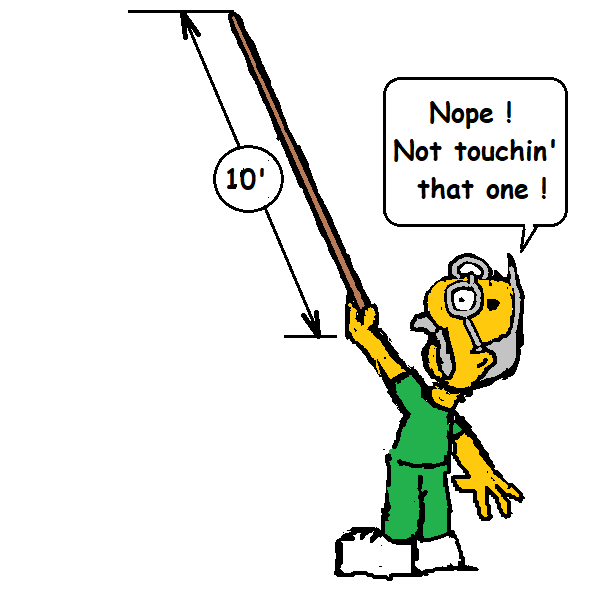 996310074_10ftpole.png.7afab2a91bc3a0cd2b0890c6a047b02e.png