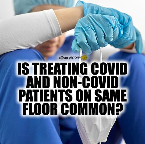 treating-covid-non-covid-patients-same-hospital-floor.jpg.bdc184ef8ff8d7f765a91e2284ad48a1.jpg