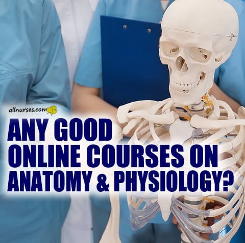 good-online-anatomy-physiology-courses.jpg.b7435aacb303ef77bf4f09643b2583db.jpg