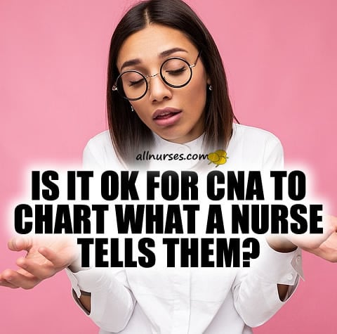 cna-charting-nurse.jpg.5142c48bc0aff3fc6eccd35884bead52.jpg