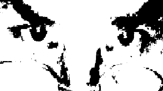 look2.png.667285fba596535d535752e033ea9b41.png