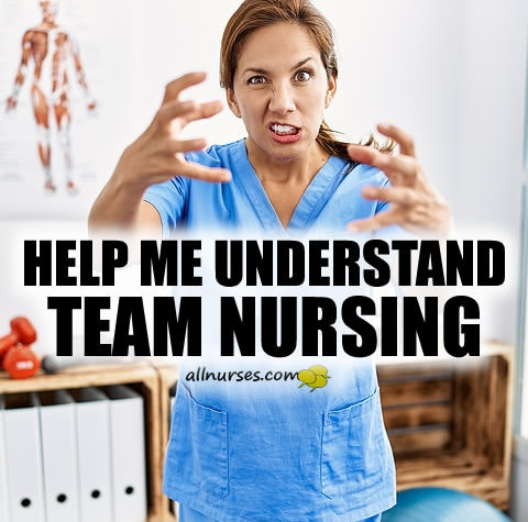 understand-team-nursing.jpg.8e0d1cc9eefb1abf491efa630293c97a.jpg