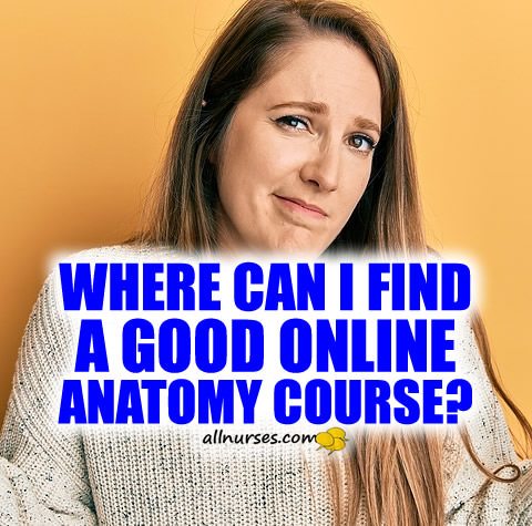 where-find-online-anatomy-course.jpg.ade97882ed39b065fe6d48aa127c1886.jpg