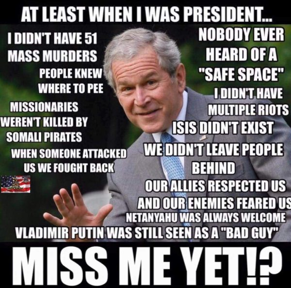 bush.thumb.jpeg.ac8c20f3d68f8c4eabaa002a0bd2d6db.jpeg