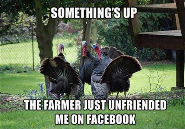 thanksgiving-meme.thumb.jpg.966f4bf48f2b042fa37c277c0c6d3eba.jpg