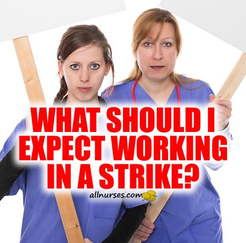 what-should-i-expect-working-in-a-strike.jpg.af3a96884305a38641ccd605edee6887.jpg