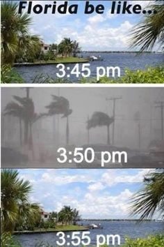 florida.jpeg.6de3344979335e4564afc7019322bcbb.jpeg