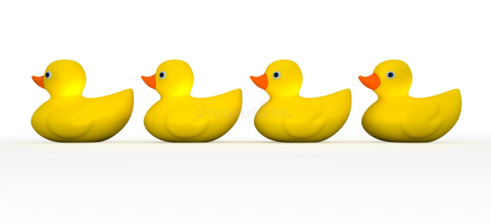 image.thumb.png.53a8e718bc36b82557439efbf9a28813.png