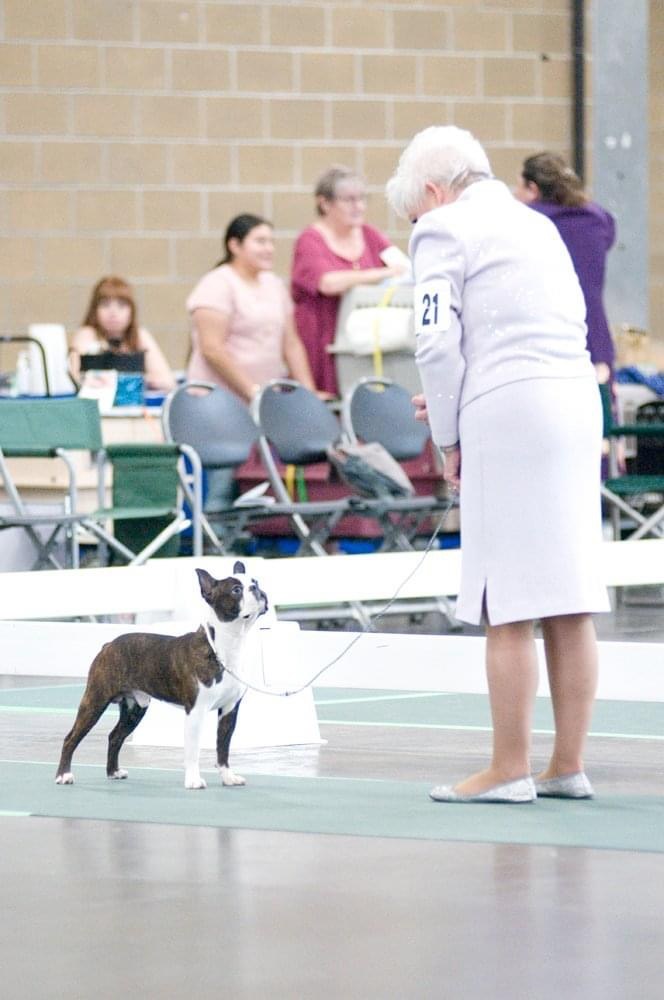IMG_0470.jpeg.a3a581ce6a7fc0b5c096fe37cecd8f4a.jpeg