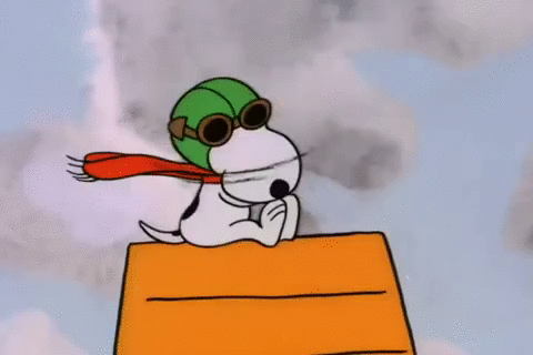 snoop.gif.d44f074db10abec163f72d7cc19b26dc.gif