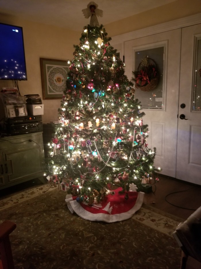 20231227_052835.jpg