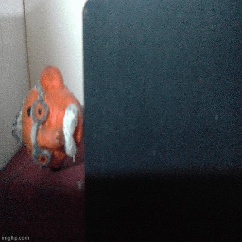 2087058682_xray.gif.8df07c9f8f37a89012870a9547edf444.gif