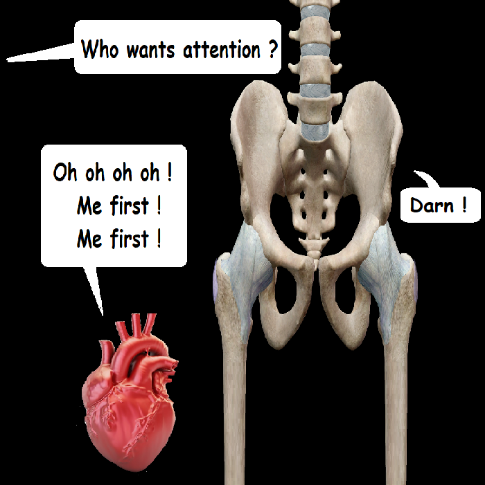 R.png.3d3513516456c8e1fcbe3ea29b1cceae.png