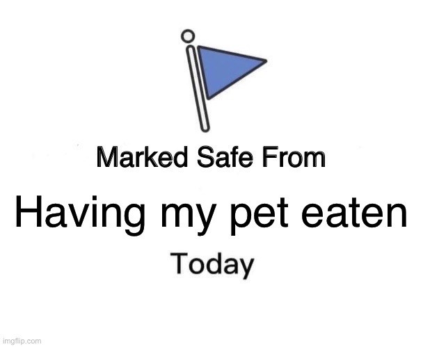 safe.jpeg.ac992e0698c47a824f319c86553a5d6c.jpeg