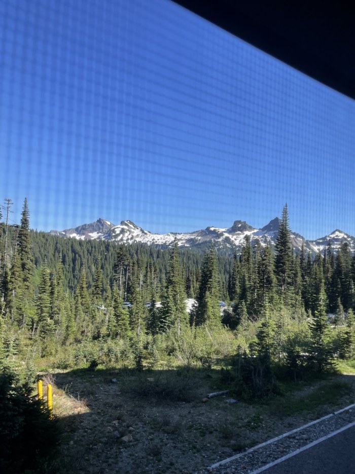 IMG_0959.thumb.jpeg.972a33e202a4c52852fc83279494ddea.jpeg