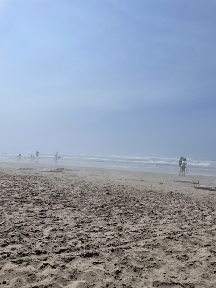 IMG_1016.thumb.jpeg.b16a6fe275ccee22926f3af05d419fbf.jpeg