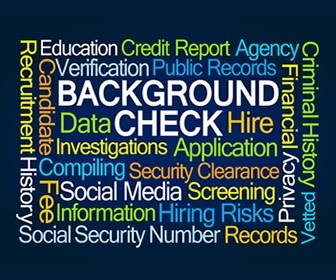 Do background checks show work history?